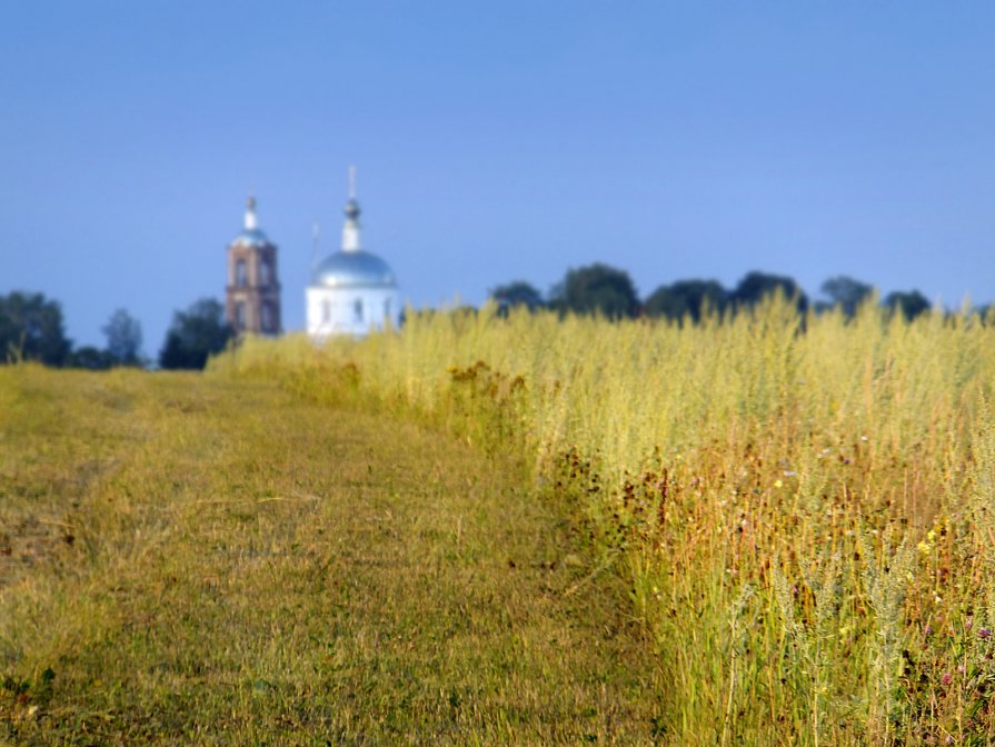 Церковь в поле